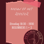 Workshop avond bij DynamicPole